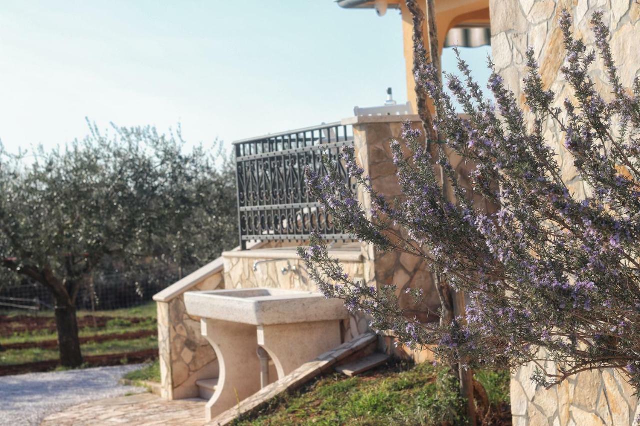 Casa Vesna *