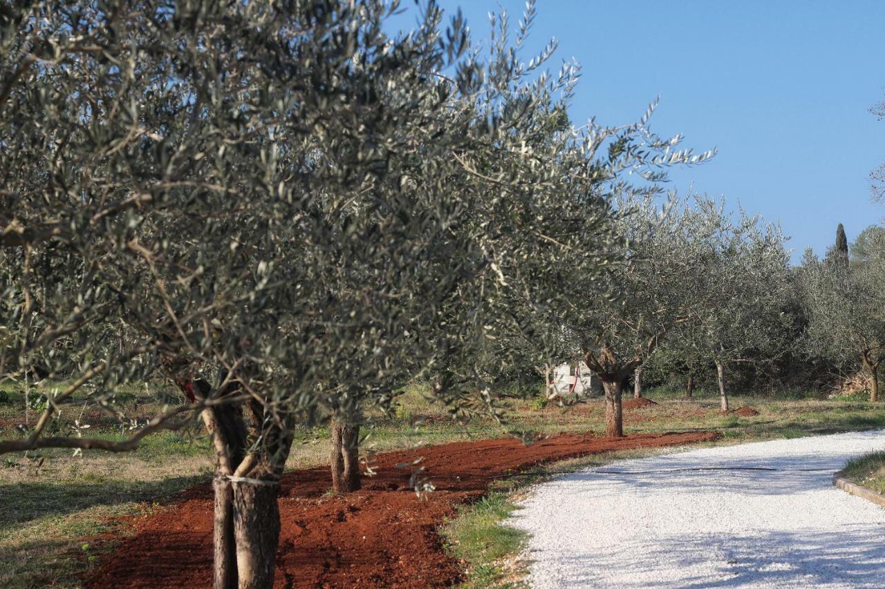 Nyaraló Casa Vesna *